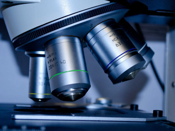 Microscope