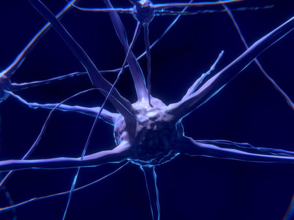nanotech-cerveau-interieur